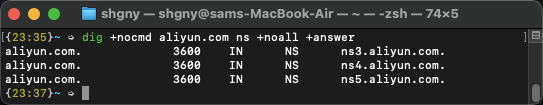 dig_ns